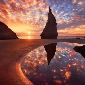 Meet your Posher, Jess